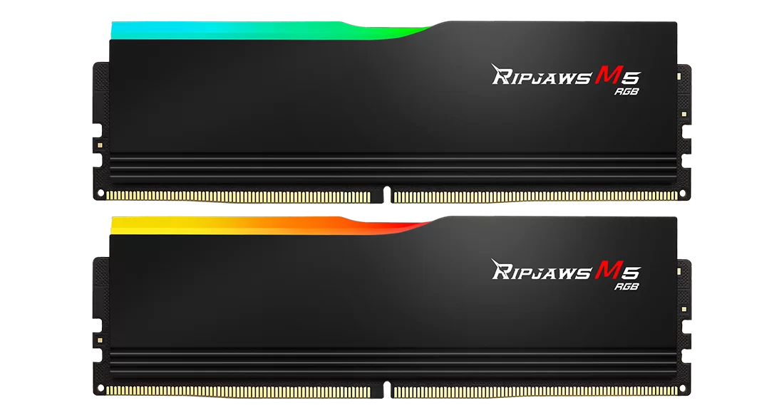 G.SKILL Ripjaws M5 RGB Series 32GB (2x16GB) DDR5 RAM 6000MT/s CL36 Memory Kit - Black