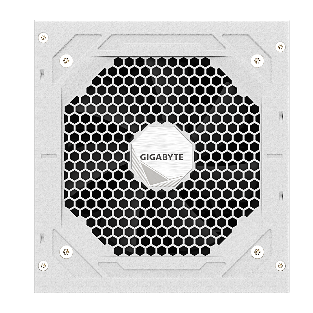 GIGABYTE UD850GM PG5 850W (ATX 3.0) PCIE 5.0 (12VHPWR) 80 Plus Gold Full Modular Power Supply (White Edition)